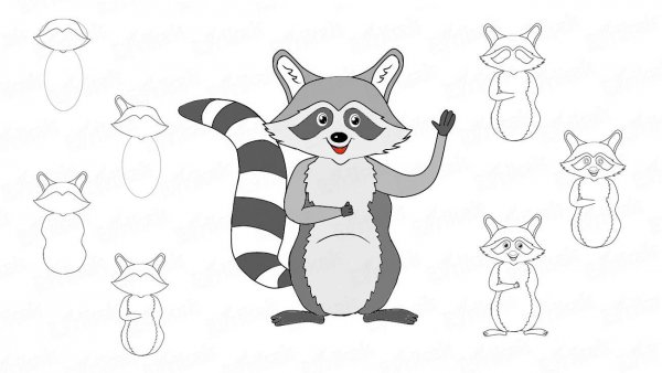 Енот рисунок