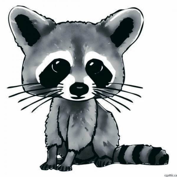 Енот мультяшный