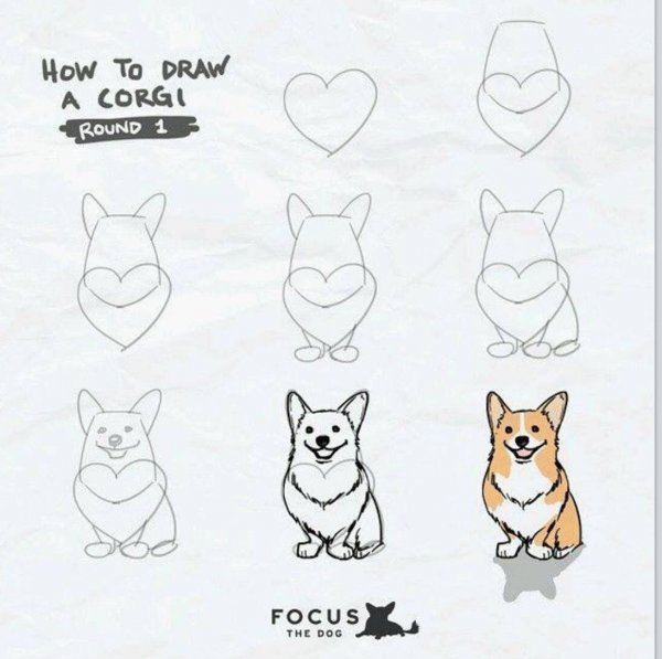 Рисунок корги легкий