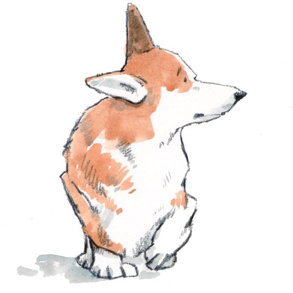 Корги мультяшные