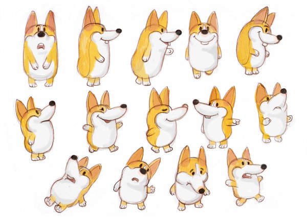 Вельш корги референс