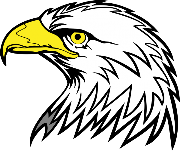 Изображение головы орла