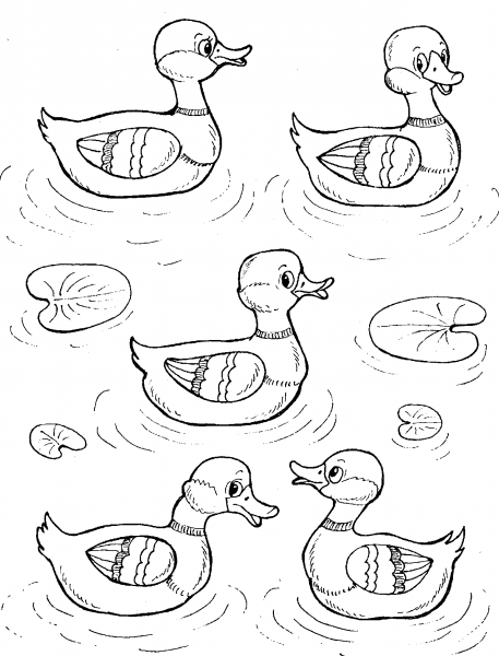 Утка раскраска