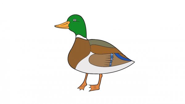 Нарисовать утку