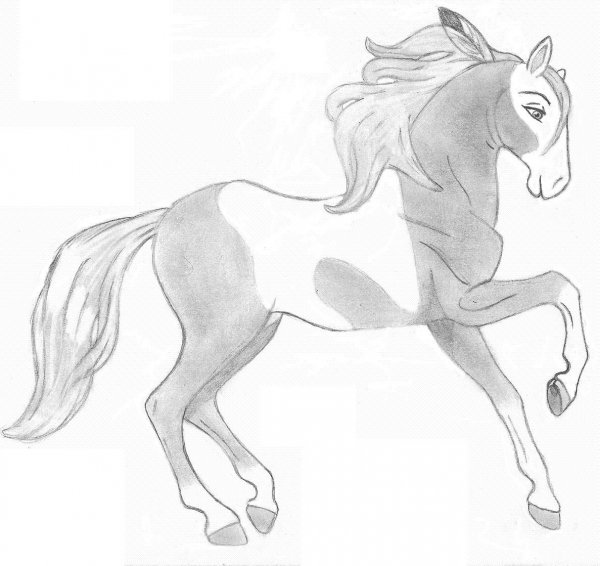 Рисунок лошади карандашом для срисовки