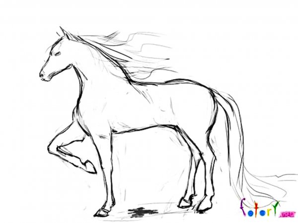 Рисунки лошадей для срисовки легкие