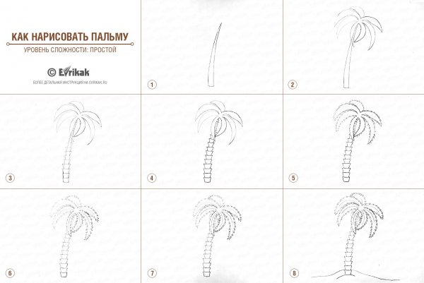 Схема рисования пальмы