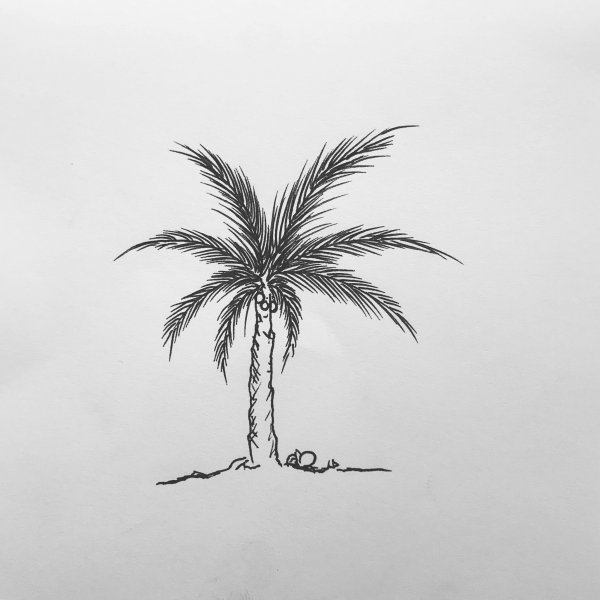 Пальма гелевой ручкой