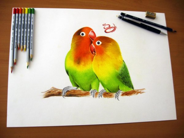 Рисуем акваретльнымикарандашими