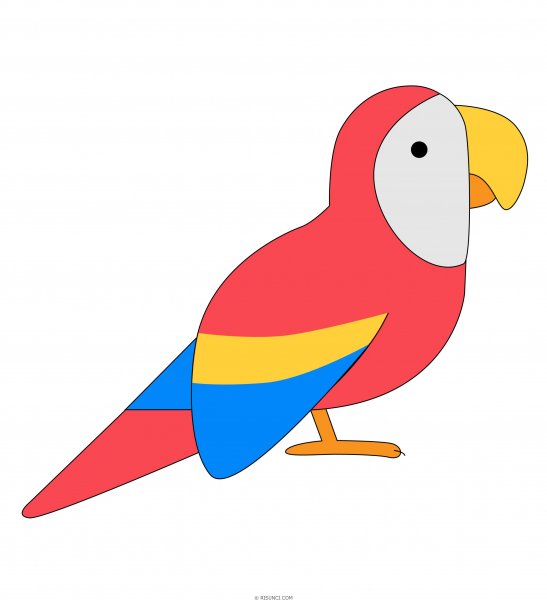 Рисуем попугая с детьми