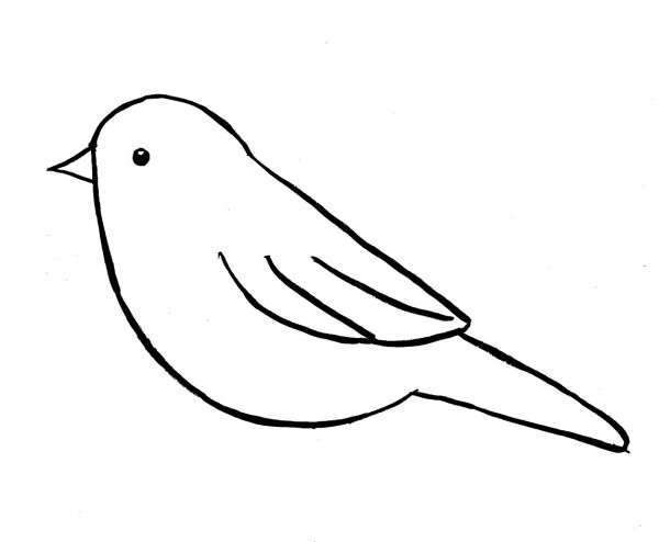 Шаблон птицы для рисования