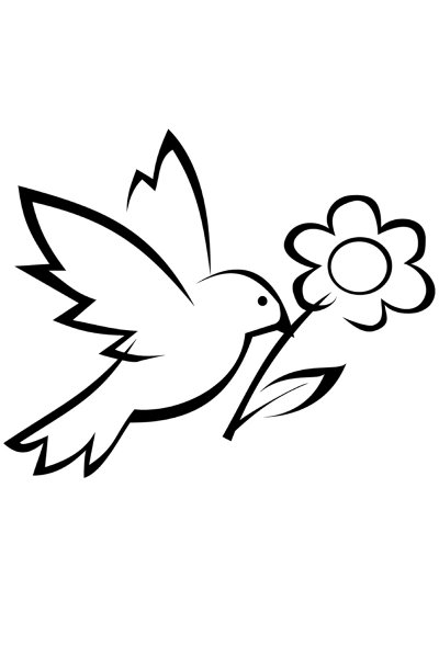 Птичка раскраска для детей