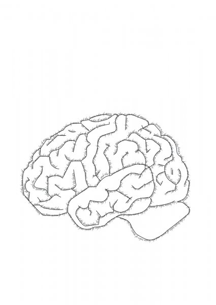 Мозг трафарет