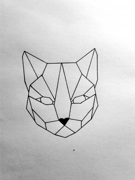 Геометрическая кошка