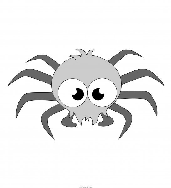Нарисовать паука карандашом
