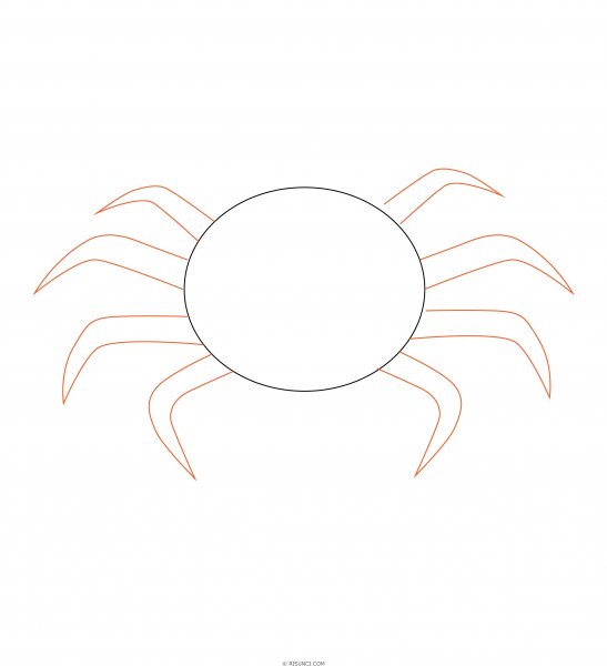 Поэтапное рисование паука карандашом