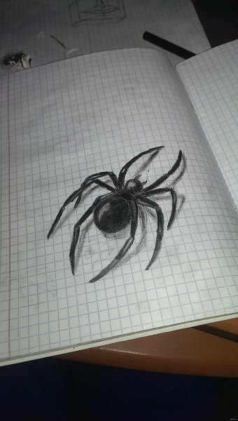 Паук простым карандашом