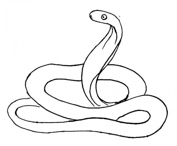 Змея схематично