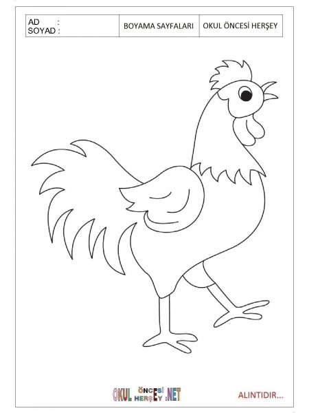 Поэтапный рисунок петуха