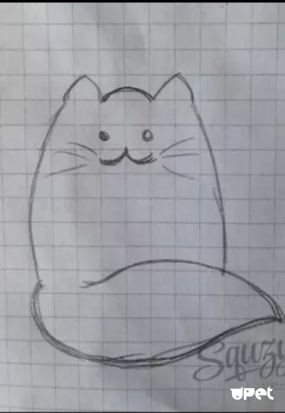 Рисунки очень легкие и красивые