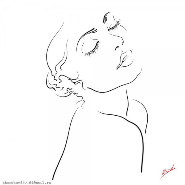 Владимир Шорохов художник