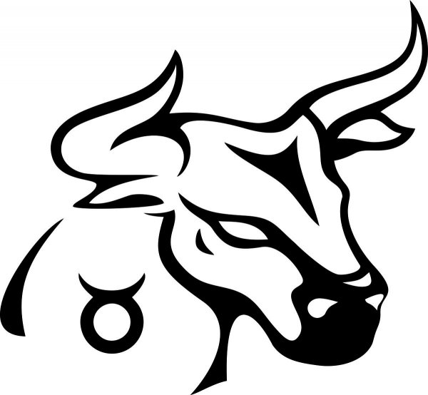 Тату Хайда бык