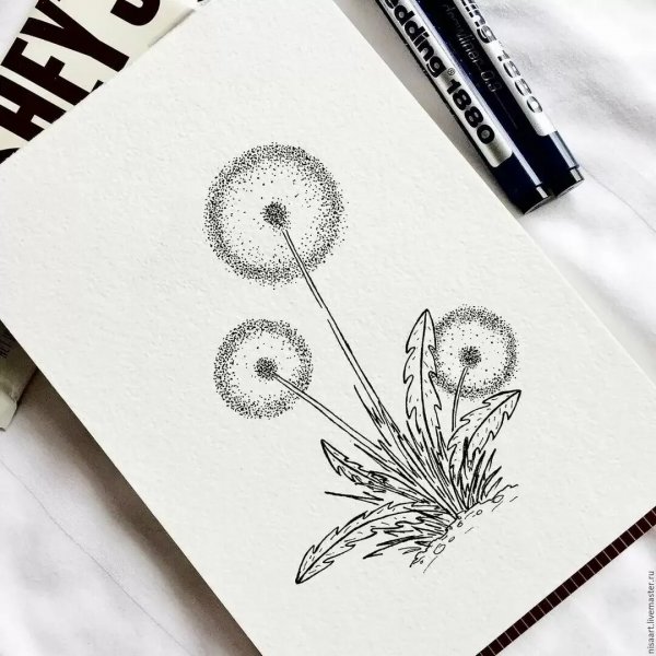 Рисунки линером