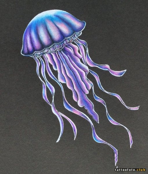 Медуза для срисовки
