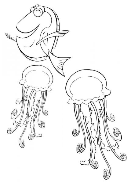 Медуза скетч