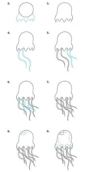Медуза карандашом