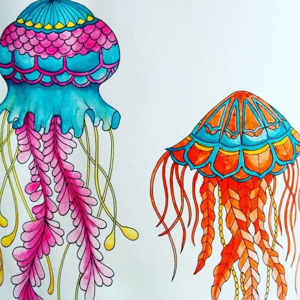 Медуза тату эскиз