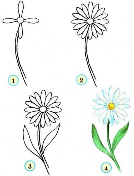 Поэтапное рисование цветов для детей