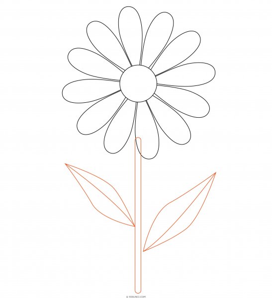 Ромашки для вырезания цветные