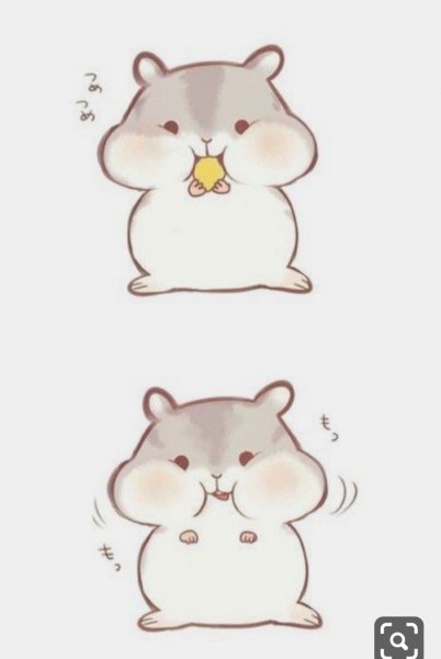 Рисунки для срисовки хомячки