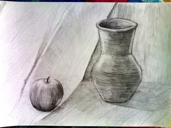 Натюрморт карандашом для начинающих