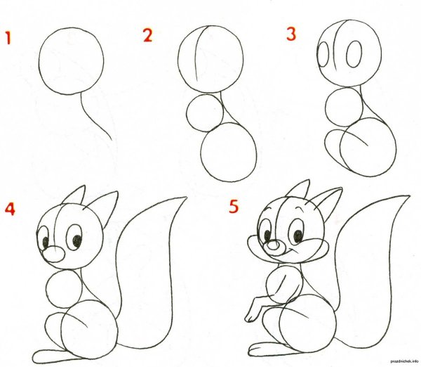 Рисование белки поэтапно