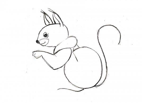 Рисунок белки карандашом для детей
