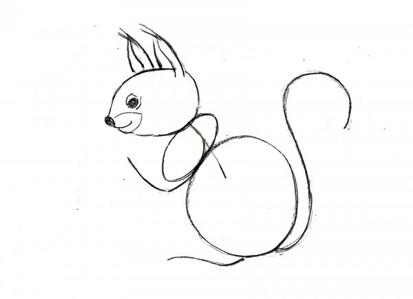 Белка пошаговое рисование