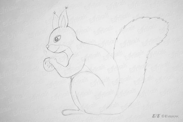 Рисунки для срисовки белка