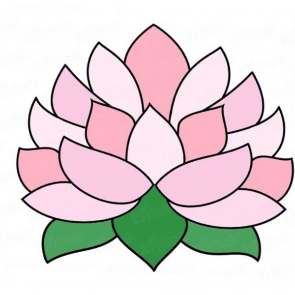 Лёгкие рисунки лотоса для детей