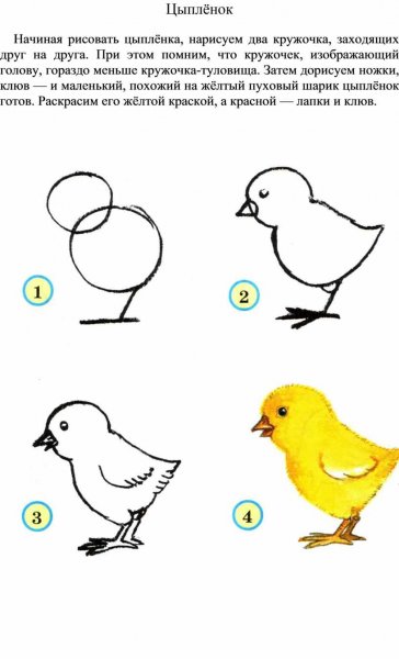 Схемы рисования птиц для дошкольников
