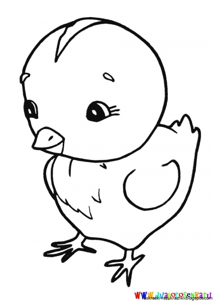Цыпленок раскраска для самых маленьких