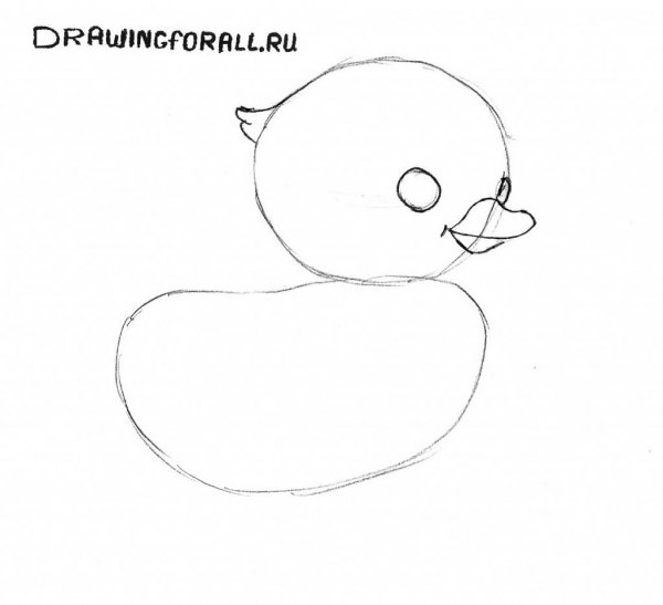 Рисование цыпленок