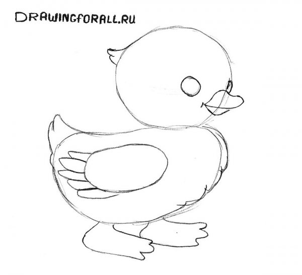 Цыпленок рисунок легкий