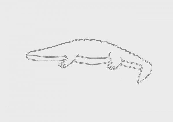 Поэтапное рисование крокодила для детей