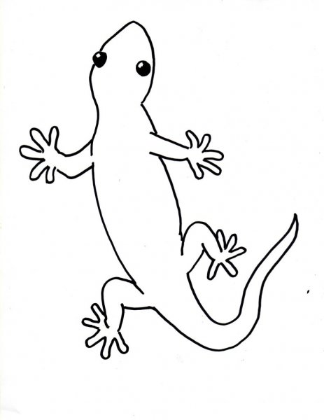 Рисование ящерицы для детей