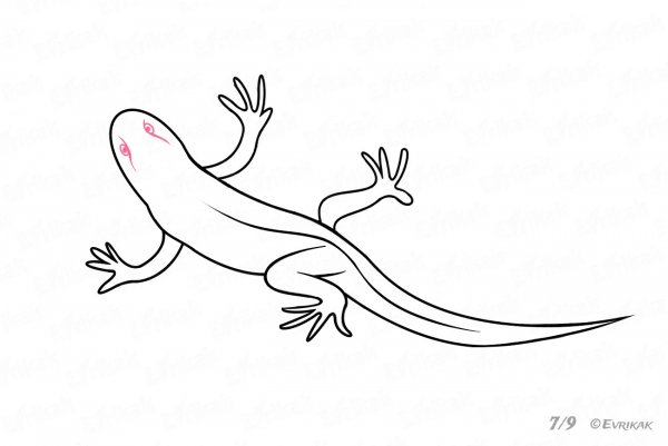Поэтапное рисование ящерицы
