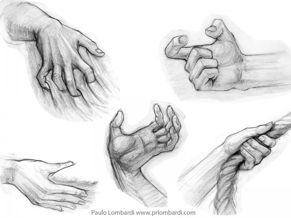 Руки карандашом