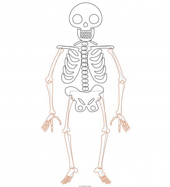 Скелет нарисовать карандашом