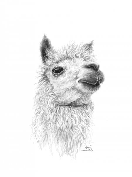 Лама стилизация